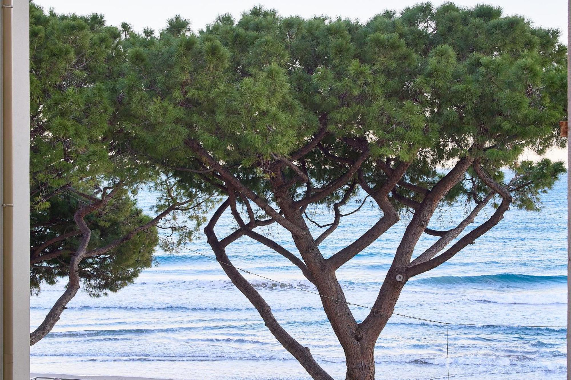 Acquamarina Alassio